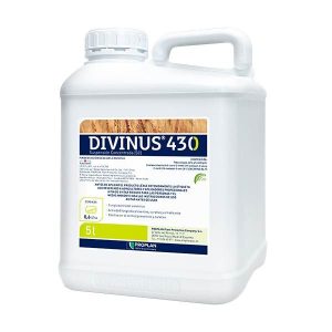 Fungicida Divinus 430 Proplan 5l